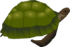 Turtle Out Of Shell Clip Art